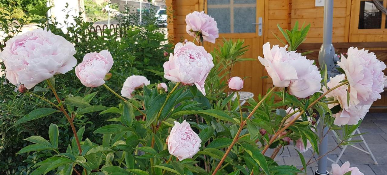 Landhaus Julia 코베른곤도르프 외부 사진